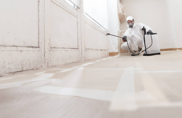 24/7 Emergency Black Mold Remediation experts in Springfield, TN