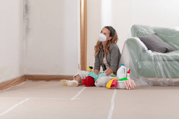 Reliable Black Mold Remediation contractor in Springfield, TN by 24 Hour Mold Removal